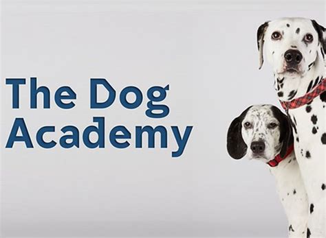 cast of the dog academy|the dog academy tv show.